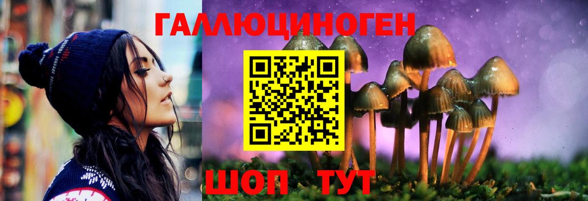 Галлюциногенные грибы мицелий  Вход с VPN  купить наркотик  Севастополь 